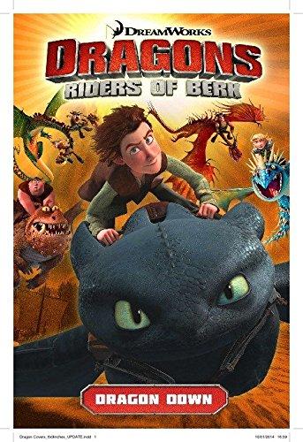 Dragons: Riders of Berk - Volume 1: Dragon Down (How to Train Your Dragon TV)