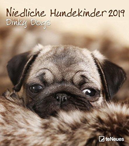 Niedliche Hundekinder 2019 - Broschürenkalender, Hundekalender, Tierkalender 2019-30 x 34 cm