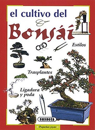 El bonsái (Pequeñas Joyas)