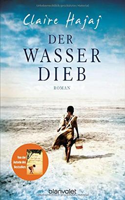 Der Wasserdieb: Roman