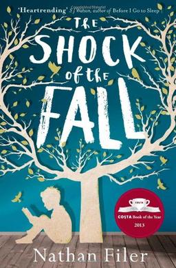 Shock of the Fall