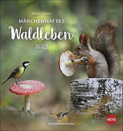 Märchenhaftes Waldleben Postkartenkalender 2022 von Vadim Trunov - Tierkalender mit perforierten Postkarten - zum Aufstellen und Aufhängen - 16 x 17 cm