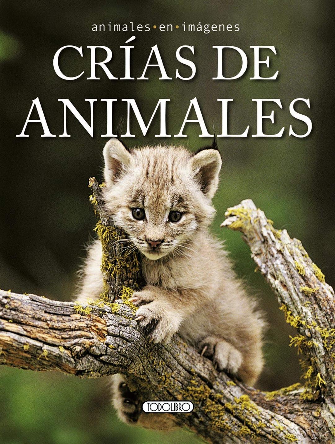 Cría de animales (Animales en imágenes)