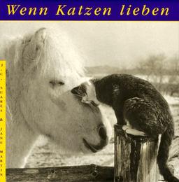 Wenn Katzen lieben