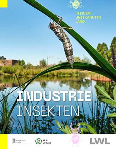 IndustrieInsekten: In einem unbekannten Land