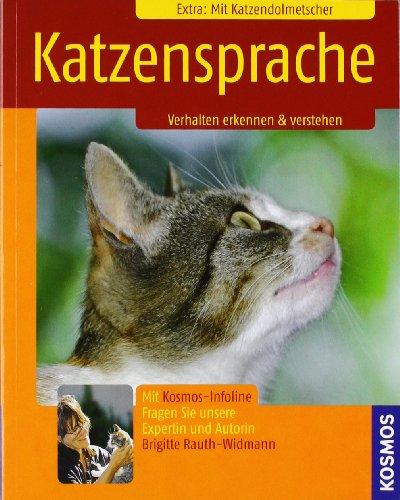 Katzensprache: Verhalten erkennen & verstehen