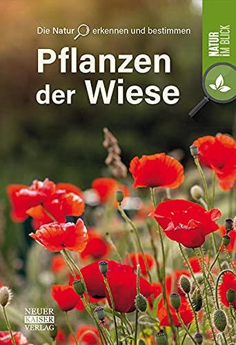 Pflanzen der Wiese: Die Natur erkennen und bestimmen - Natur im Blick