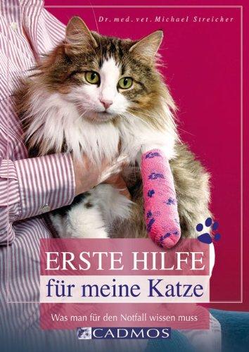 Erste Hilfe für meine Katze: Was man für den Notfall wissen muss