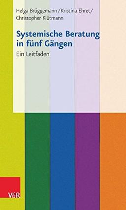 Systemische Beratung in fünf Gängen: 25 Praxiskarten