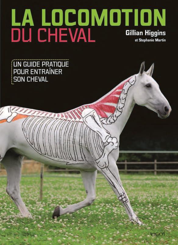 La locomotion du cheval : un guide pratique pour entraîner son cheval