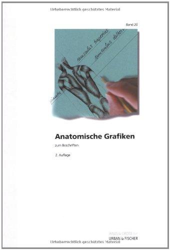 Anatomische Grafiken zum Beschriften: WEISSE REIHE Band 20