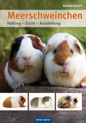 Meerschweinchen: Haltung -  Zucht - Ausstellung