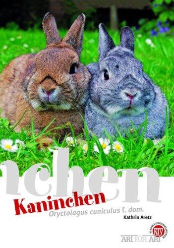 Kaninchen: Oryctolagus cuniculus f. dom