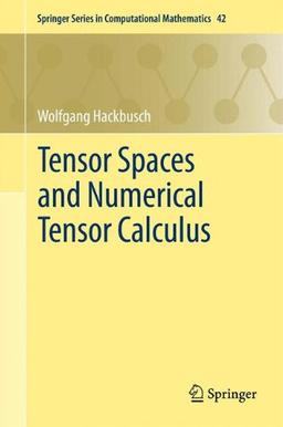 Tensor Spaces and Numerical Tensor Calculus (Springer Series in Computational Mathematics)