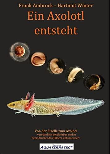 Ein Axolotl entsteht: Von der Eizelle zum Axolotl