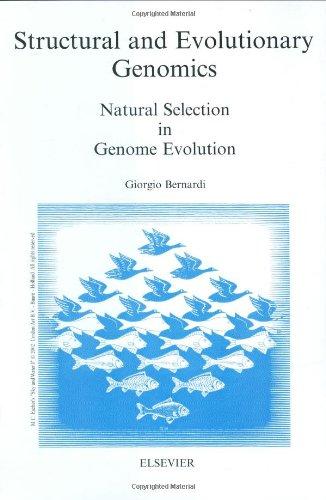 Structural and Evolutionary Genomics: Natural Selection in Genome Evolution (New Comprehensive Biochemistry)