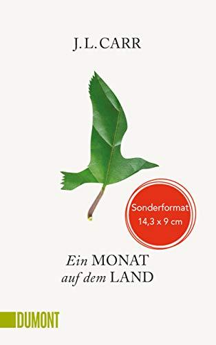 Ein Monat auf dem Land: Roman