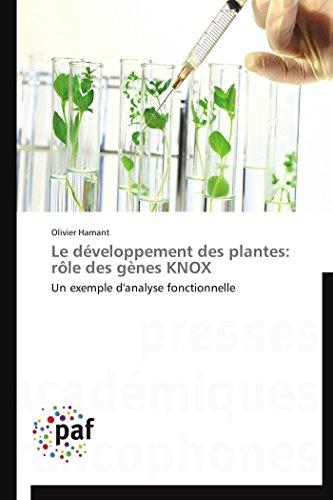 Le développement des plantes : rôle des gènes knox