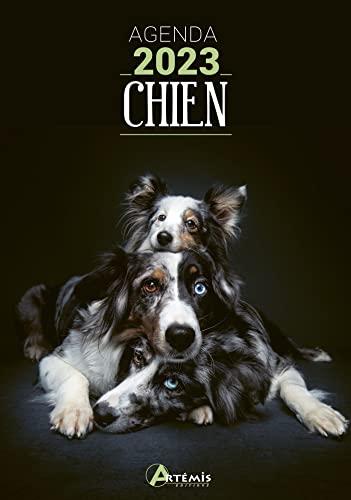 Chien : agenda 2023