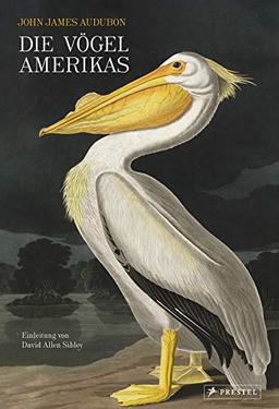 Die Vögel Amerikas