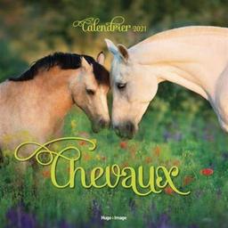 Chevaux : calendrier 2021