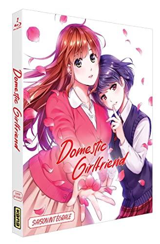 Domestic girlfriend - love X dilemma - saison 1 [Blu-ray] [FR Import]