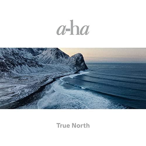 True North (2x Recycled 12" Black Heavy Weight) [Vinyl LP]