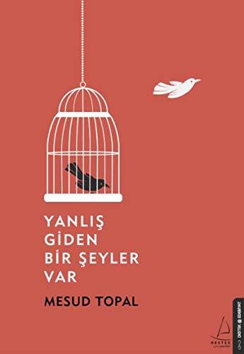 Yanlis Giden Bir Seyler Var