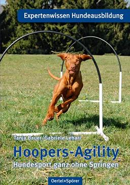 Hoopers-Agility: Hundesport ganz ohne Springen