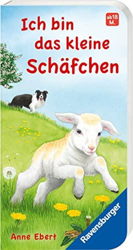 Ich bin das kleine Schäfchen