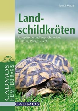 Landschildkröten: Europäische und tropische Arten: Haltung, Pflege, Zucht