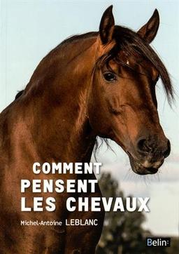 Comment pensent les chevaux