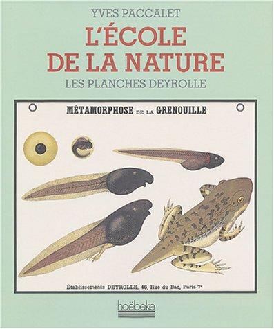 L'école de la nature : les planches Deyrolle