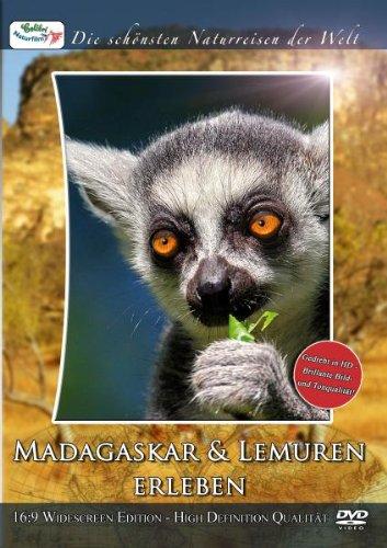 Die schönsten Naturreisen der Welt: Madagaskar & Lemuren erleben