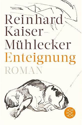 Enteignung: Roman