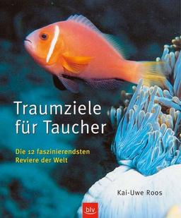 Traumziele für Taucher: Die 12 faszinierendsten Reviere der Welt