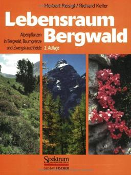 Lebensraum Bergwald: Alpenpflanzen in Bergwald, Baumgrenze und Zwergstrauchheide. Vegetationsökologische Informationen für Studien, Exkursionen und Wanderungen