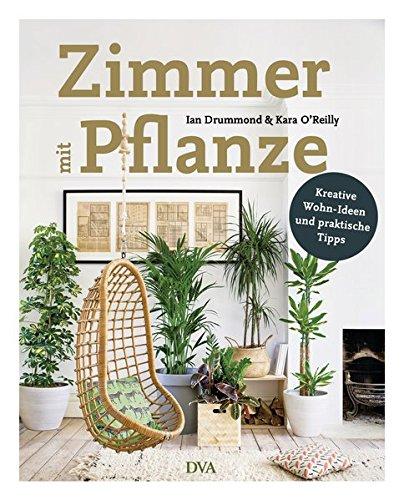 Zimmer mit Pflanze: Kreative Wohn-Ideen & praktische Tipps