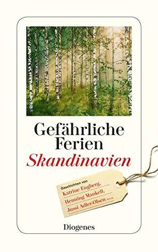 Gefährliche Ferien - Skandinavien (detebe)