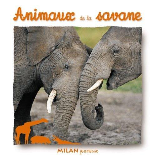 Animaux de la savane