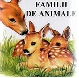 Familii De Animale