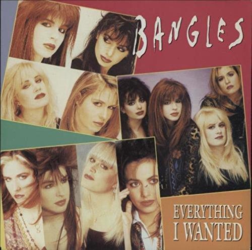 Everything I wanted (1990) / Vinyl single [Vinyl-Single 7'']