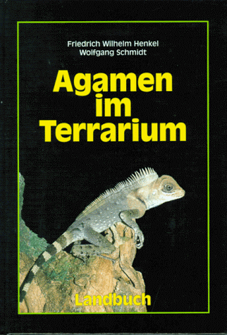 Agamen im Terrarium