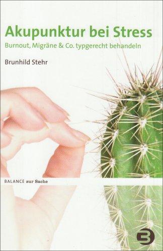 Akupunktur bei Stress: Burnout, Migräne & Co. typgerecht behandeln