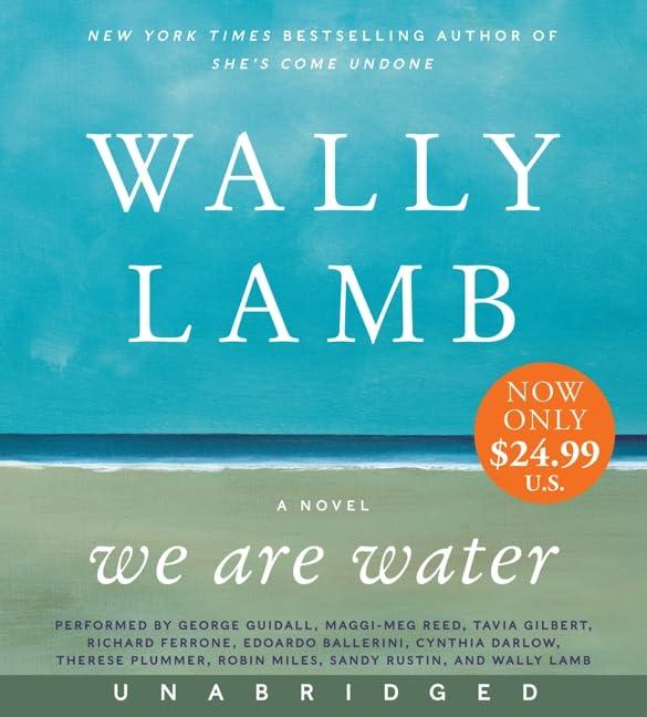 We Are Water Low Price CD: A Novel