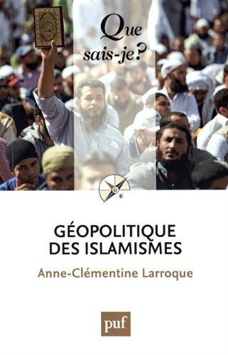 Géopolitique des islamismes