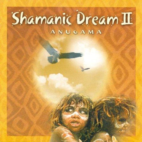 Shamanic Dream Vol. 2