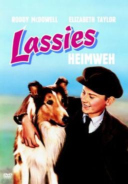 Lassies Heimweh