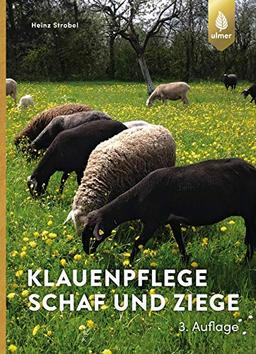 Klauenpflege Schaf und Ziege