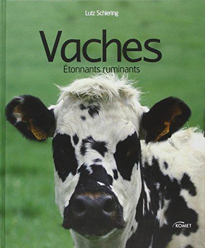 Vaches : étonnants ruminants